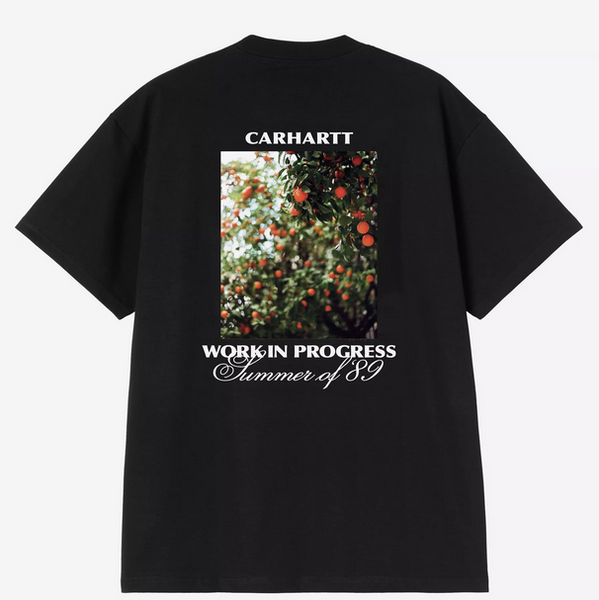 Carhartt WIP Warm Views T-Shirt