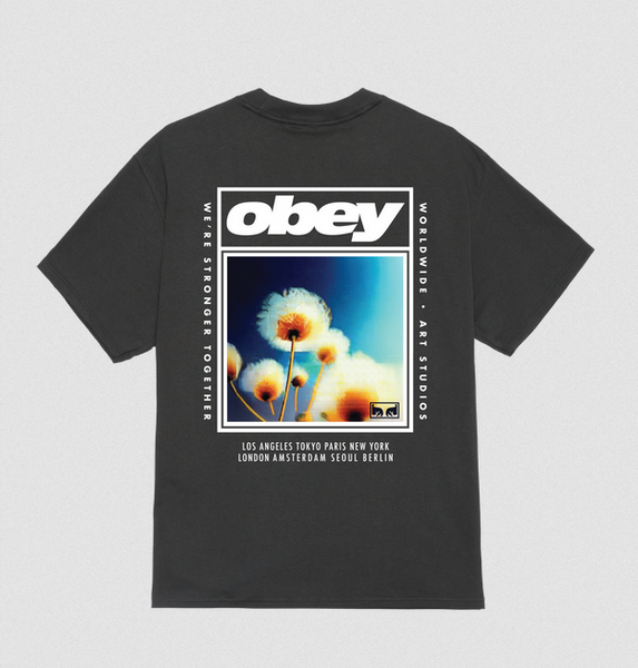 Obey Stronger Together Vintage Black